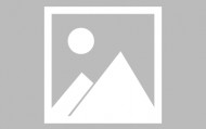 苏州金螳螂建筑装饰股份有限公司2025半年度报告摘要