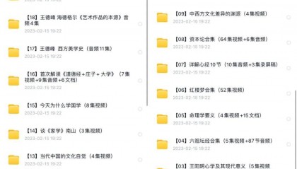 《王德峰讲座视频》哲学全套课程（高清1080P）