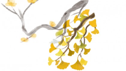 【活动回顾】罗山星悦读“金秋诵章，经典有约”活动圆满落幕