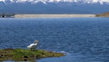 如何在ADVANTRADE爱跟投平台上实现稳健的外汇交易策略？