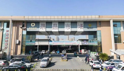 【走近买家】杭州果品集团有限公司