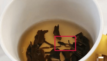 奈雪的茶被曝喝出青蛙，当事人：差点喝进嘴里，市场监督管理局已介入