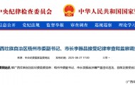 涉嫌严重违纪违法，广西壮族自治区梧州市委副书记、市长李振品被查