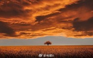 家电厂商的“一锤子买卖”彻底完蛋了