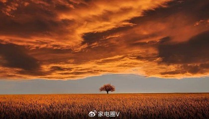 家电厂商的“一锤子买卖”彻底完蛋了