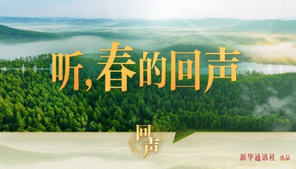 听，春的回声