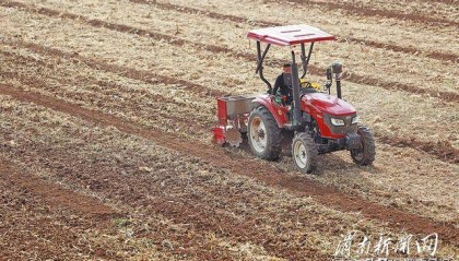 抢抓农时 应种尽种