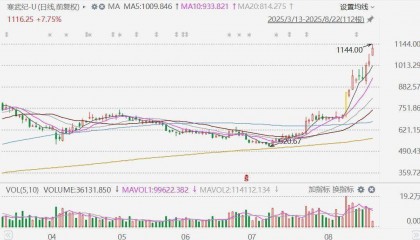 寒武纪大涨超10%，首次升破1100元大关报1144元，再创历史新高，市值逼近4800亿元；该股年内累涨73%