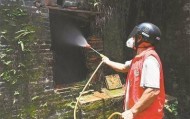 接触患者物品就会感染、康复了也会疼一辈子…… 这些有关基孔肯雅热的传言可信吗