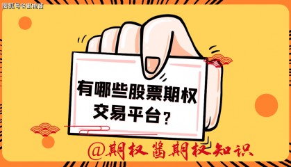 国内目前有哪些股票期权交易平台？