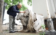 北京朝阳某小区发现石马 文物专家现场鉴定