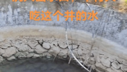 村庄水井内发现被绑石头死猪，“一半村民饮用水源”，广西荔浦警方介入