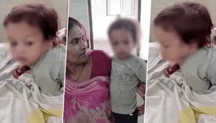 印度1岁男童误将眼镜蛇当玩具，手撕蛇并将其咬死，自己仅受轻伤