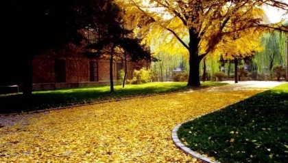 （原创、深度）一文揭秘投行外汇交易部门