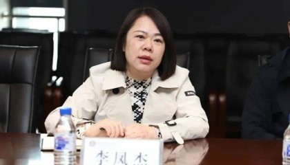 李凤杰，被查