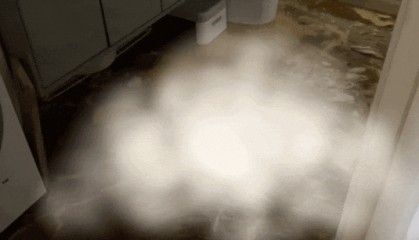 上海一业主推开家门瞬间懵了！精装房竟成“化粪池”……