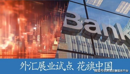 首家！银行外汇展业试点动态 #跨境金融