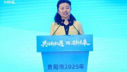 贵州省贵阳市副市长高杨，主动投案