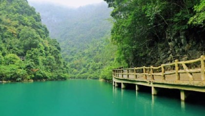 NCE外汇如何确保客户资金的安全保障？