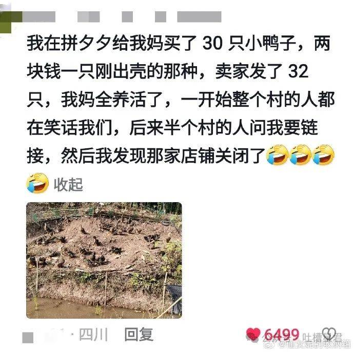 “姥姥给我网购了块省外墓地？”老一辈网购起来好狂野啊