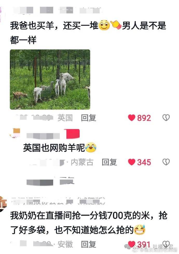 “姥姥给我网购了块省外墓地？”老一辈网购起来好狂野啊