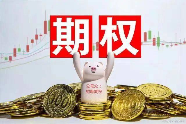 股指期权手续费交易成本最低可以多少 ？
