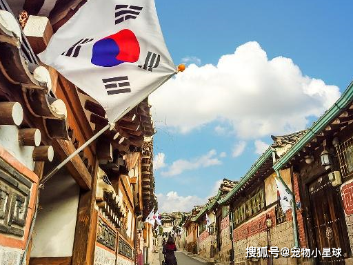 朝鲜战争结束后，韩国动员女性从事这种工作来挣外汇