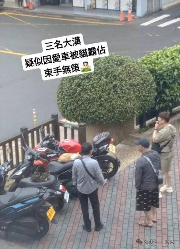 逃出生天！重庆男子如何狂奔9小时，逃出缅北园区 | 搞笑囧图