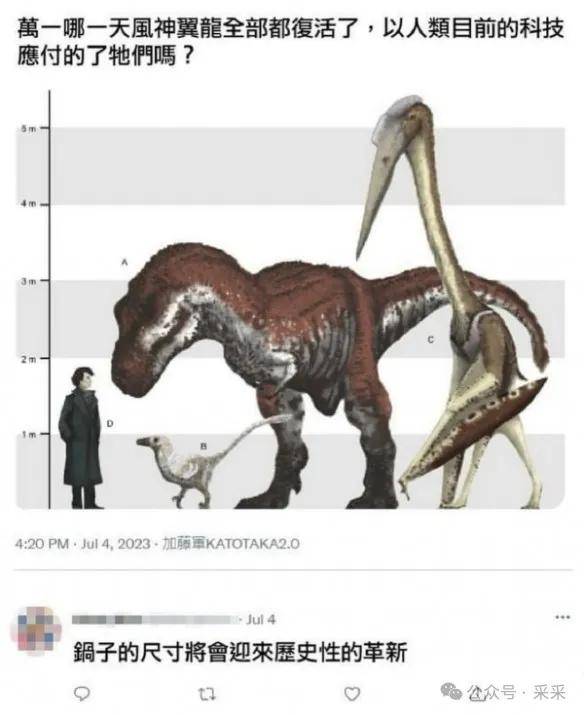 逃出生天！重庆男子如何狂奔9小时，逃出缅北园区 | 搞笑囧图