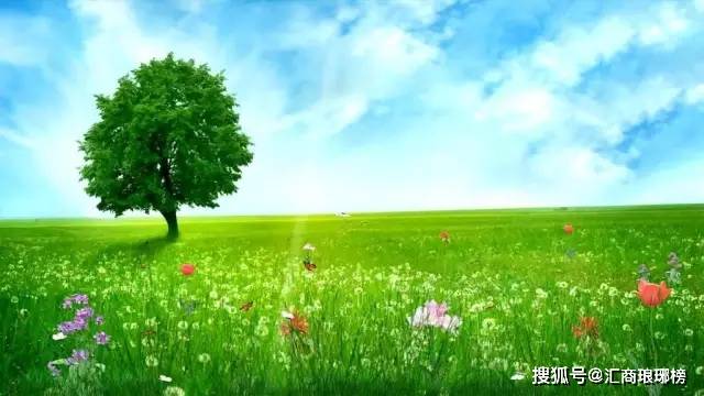 外汇操盘心得：如何相机而动，交易前安排，以及耐心寻找最佳交易机会的重要性