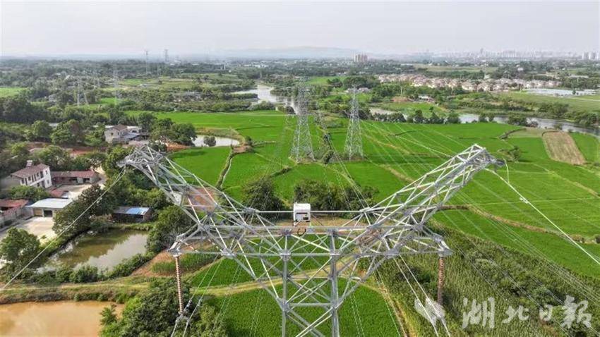 全省首台“驻塔式”无人机机场投用 高压线巡检效率比人工提升16倍
