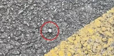 多名上海车主遭殃！附近居民窗户惊现弹孔！警方出手，竟是五旬大叔……