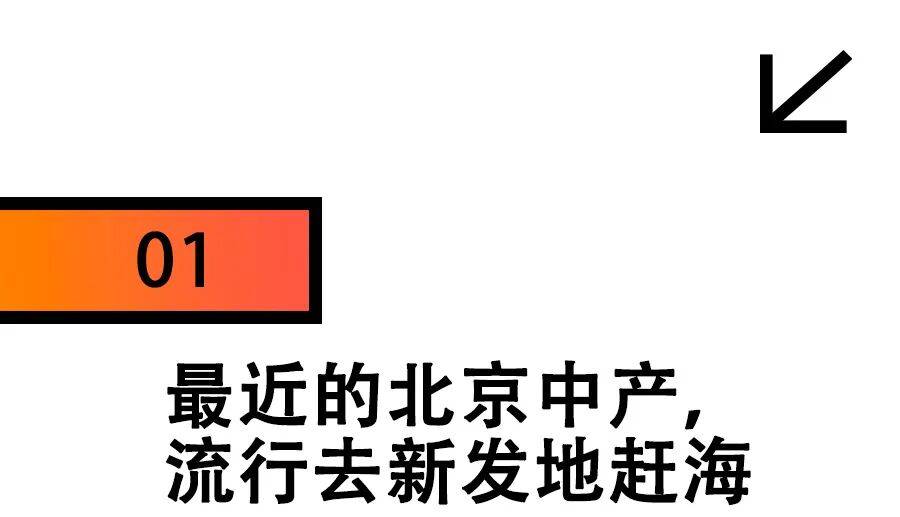 去新发地捡菜的北京中产，有多疯？？？