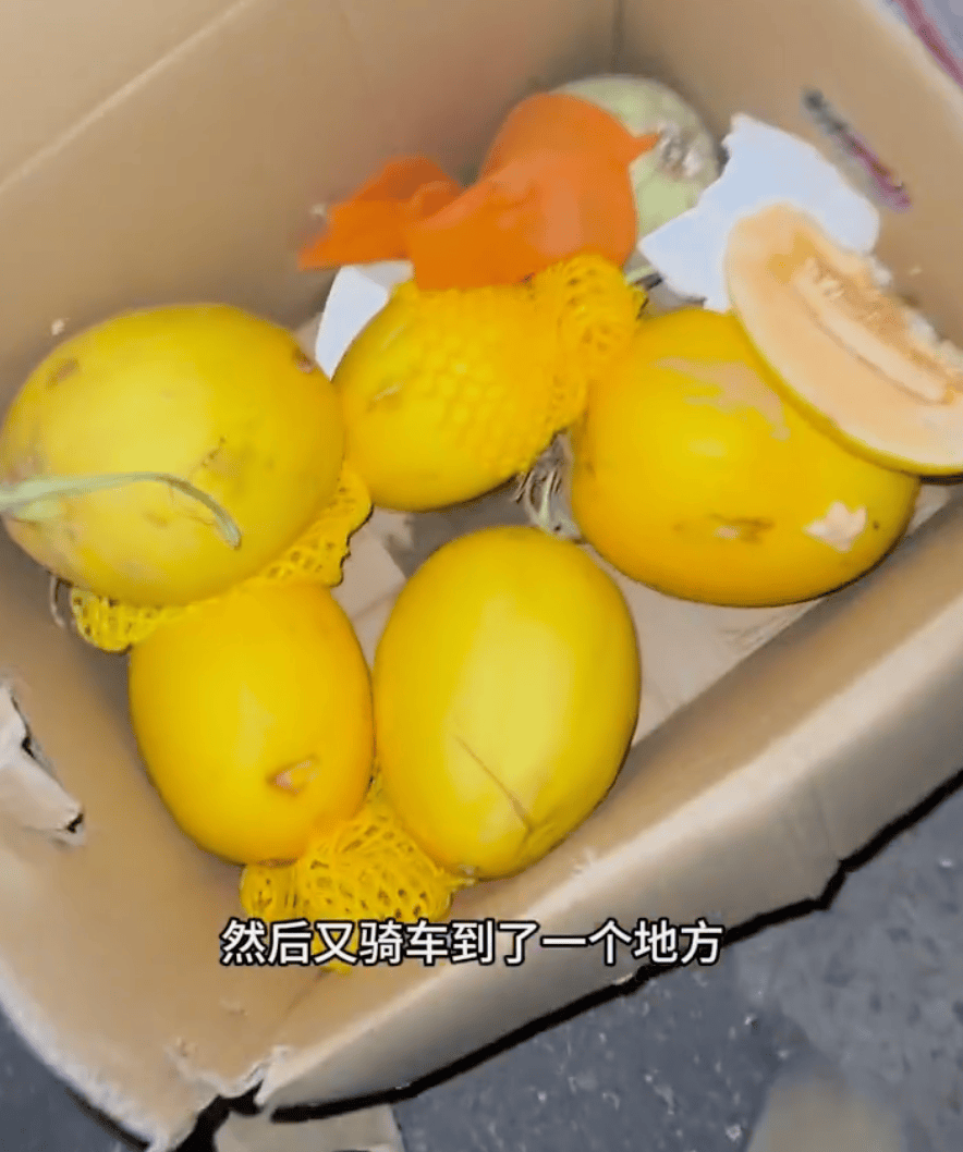 去新发地捡菜的北京中产，有多疯？？？