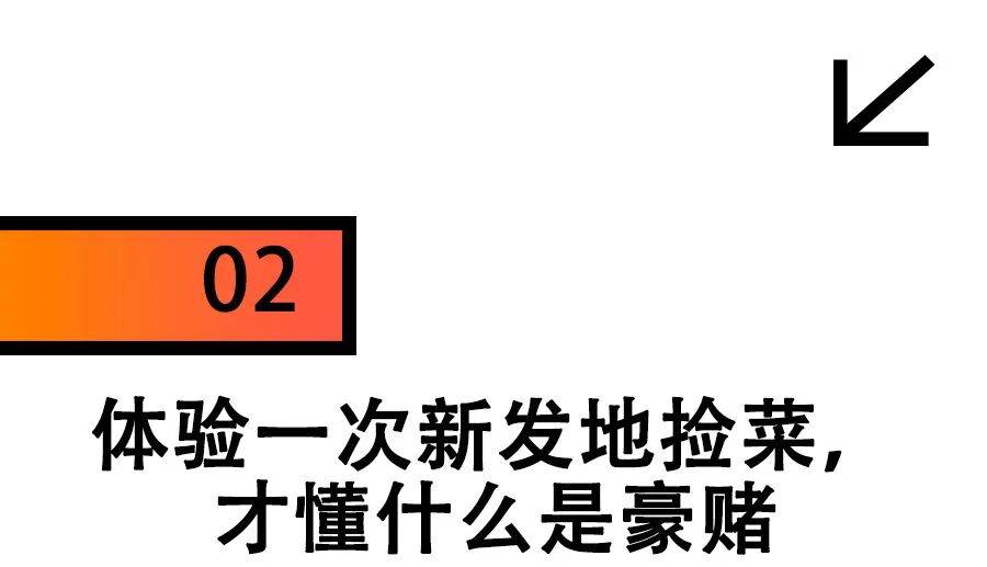 去新发地捡菜的北京中产，有多疯？？？