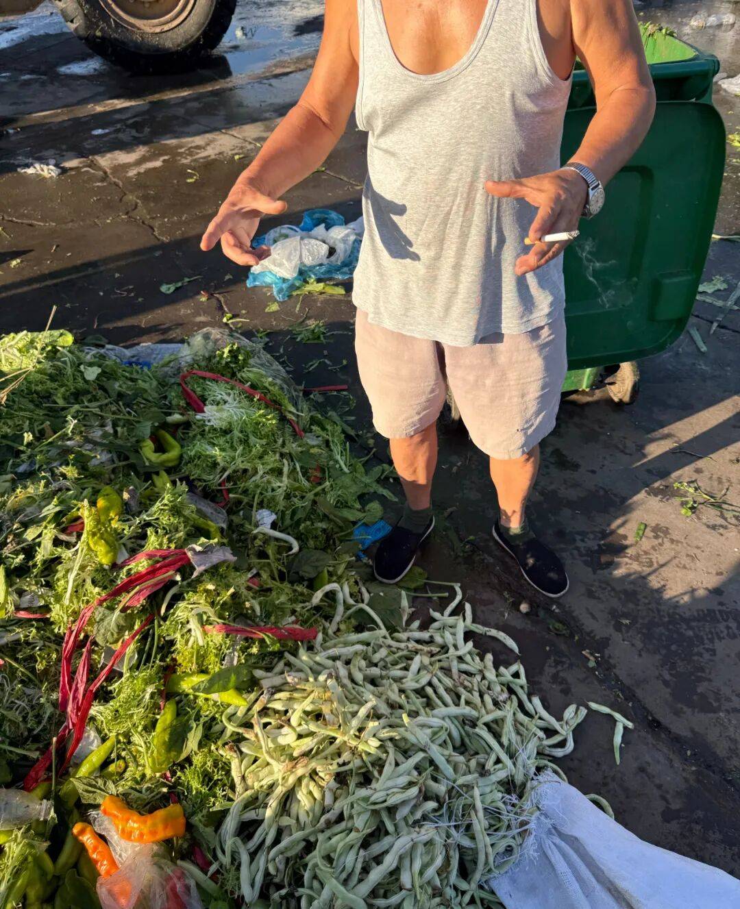 去新发地捡菜的北京中产，有多疯？？？