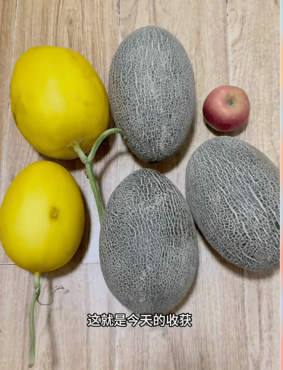 去新发地捡菜的北京中产，有多疯？？？