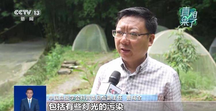 网传萤火虫濒临灭绝，是真的吗？