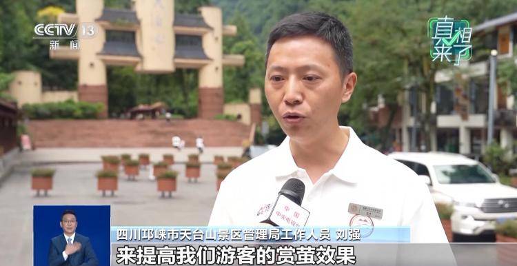 网传萤火虫濒临灭绝，是真的吗？