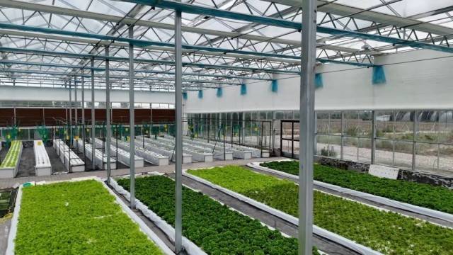 特色农业“金钥匙” 打开乡村振兴“富民门”