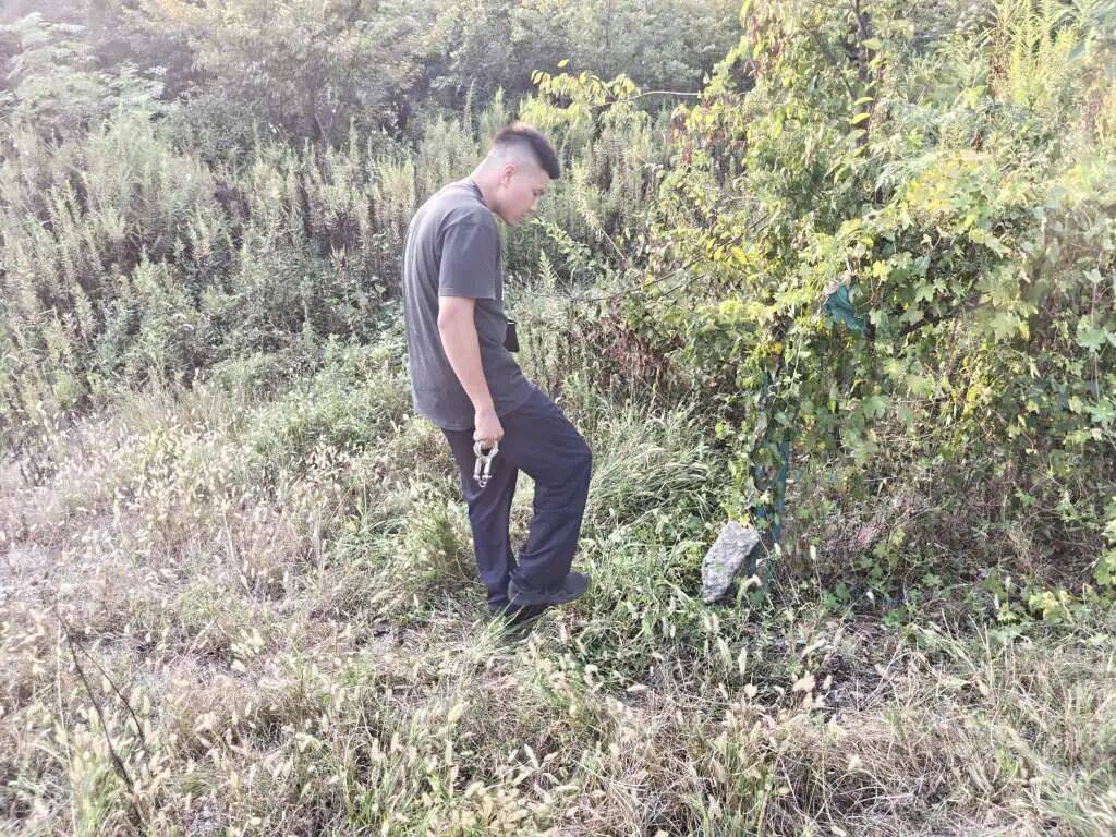 浙江一姑娘以奶茶为记号,竟然在草丛里藏了11万现金!