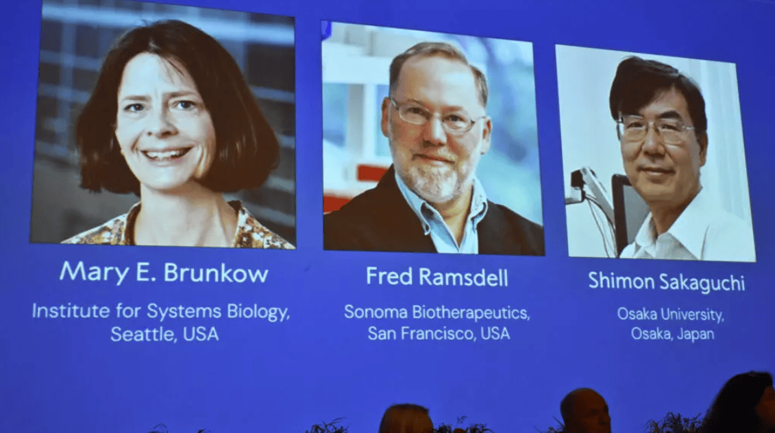 金灿荣:中国也许永远不会出现日本式的“诺贝尔奖井喷”