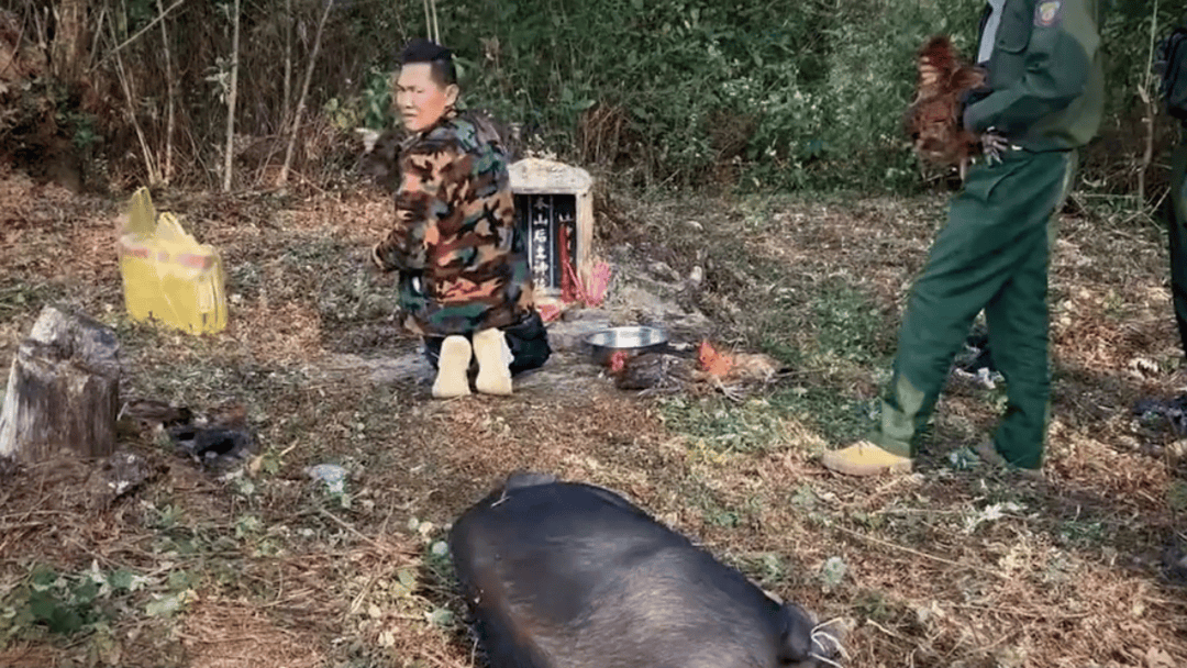 公安机关侦破缅北果敢徐老发犯罪集团专案，详情披露！