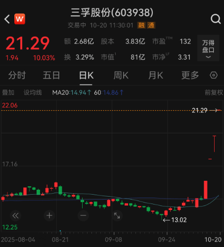 知名国际投行释放利好，“易中天”大涨！海外机构近期关注这些股，多股业绩预增