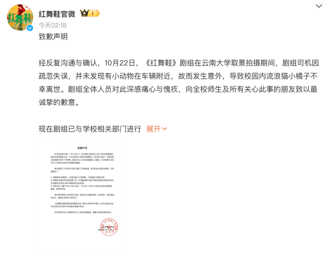 “小橘子”不幸离世，剧组凌晨紧急道歉，涉事司机引咎辞职！