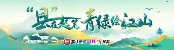 “县”在起笔 青绿绘江山丨天山映翠处，云杉碧水共新生