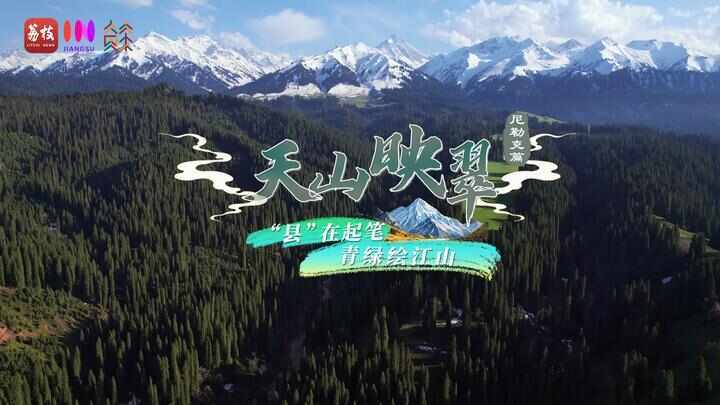 “县”在起笔 青绿绘江山丨天山映翠处，云杉碧水共新生