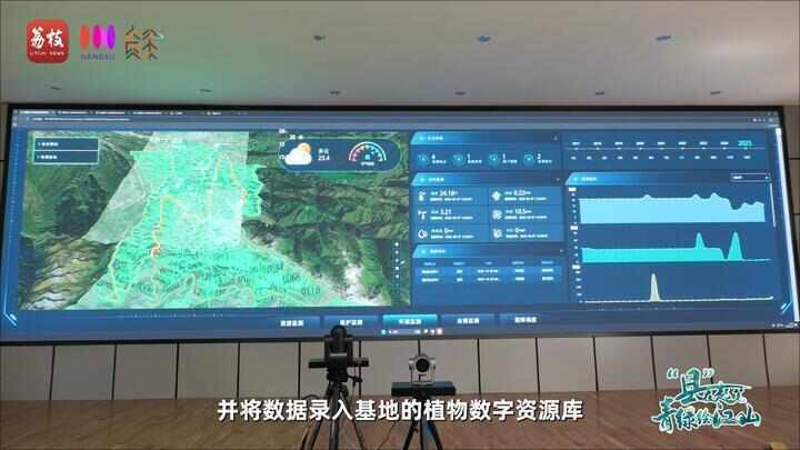 “县”在起笔 青绿绘江山丨天山映翠处，云杉碧水共新生