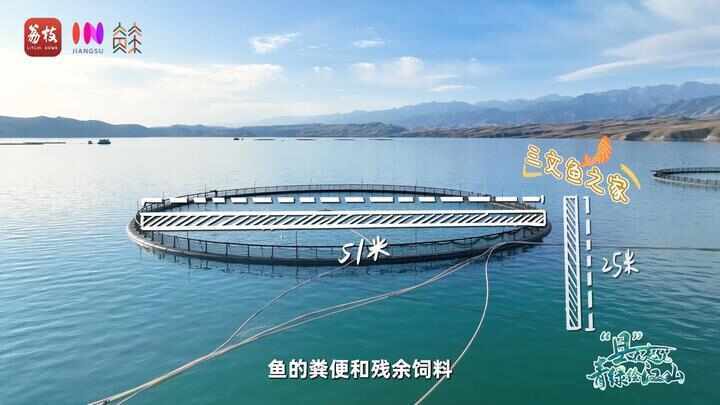 “县”在起笔 青绿绘江山丨天山映翠处，云杉碧水共新生