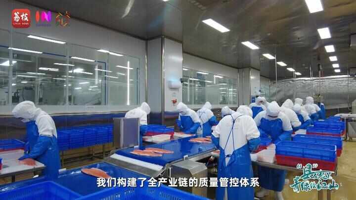 “县”在起笔 青绿绘江山丨天山映翠处，云杉碧水共新生